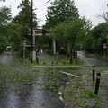 3127-1.jpg