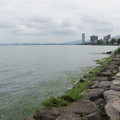 3130-1.jpg