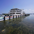 3133-2.jpg