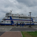 3135-1.jpg