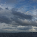 3135-3.jpg