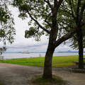 3136-1.jpg