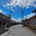 3137-1.jpg