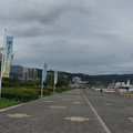 3143-1.jpg