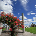 3144-2.jpg