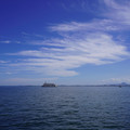3146-1.jpg