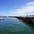 3146-2.jpg