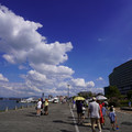3152-1.jpg