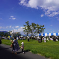 3152-3.jpg