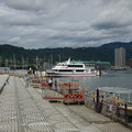 3157-1.jpg