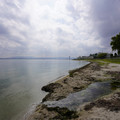 3159-1.jpg