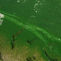 3169-2.jpg