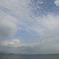 3170-2.jpg
