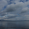 3174-1.jpg