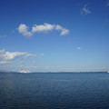 3190-1.jpg