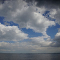 3190-3.jpg