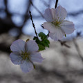 3191-2.jpg
