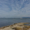 3192-3.jpg