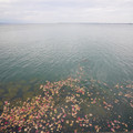 3193-2.jpg