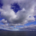 3194-1.jpg