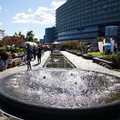3195-2.jpg