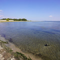 3199-1.jpg