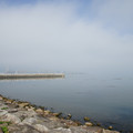 3207-1.jpg