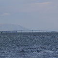 3219-3.jpg