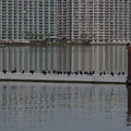 3221-2.jpg