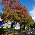 3222-2.jpg