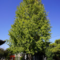 3224-2.jpg
