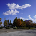 3225-3.jpg