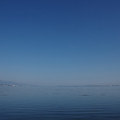 3233-1.jpg