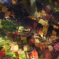 3233-2.jpg