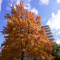 3236-3.jpg