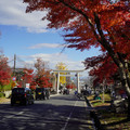 3237-2.jpg