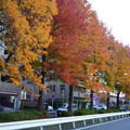 3237-3.jpg
