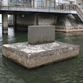 3241-1.jpg