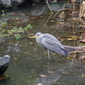 3241-3.jpg