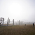3246-3.jpg