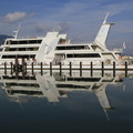 3247-2.jpg