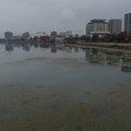 3251-3.jpg