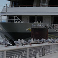 3253-1.jpg