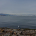 3255-1.jpg