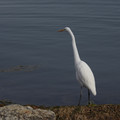3255-2.jpg