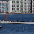 3257-1.jpg