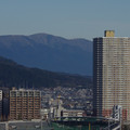3260-2.jpg