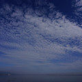 3264-2.jpg
