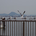 3270-2.jpg