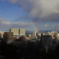 3271-3.jpg